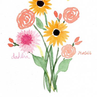 Dahlia, roses and sun.